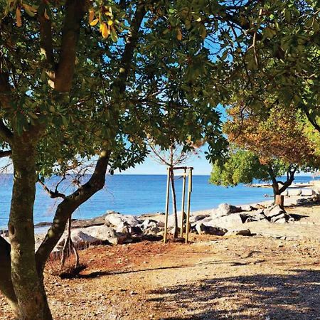 Apartment Istria Zambratija  Zewnętrze zdjęcie