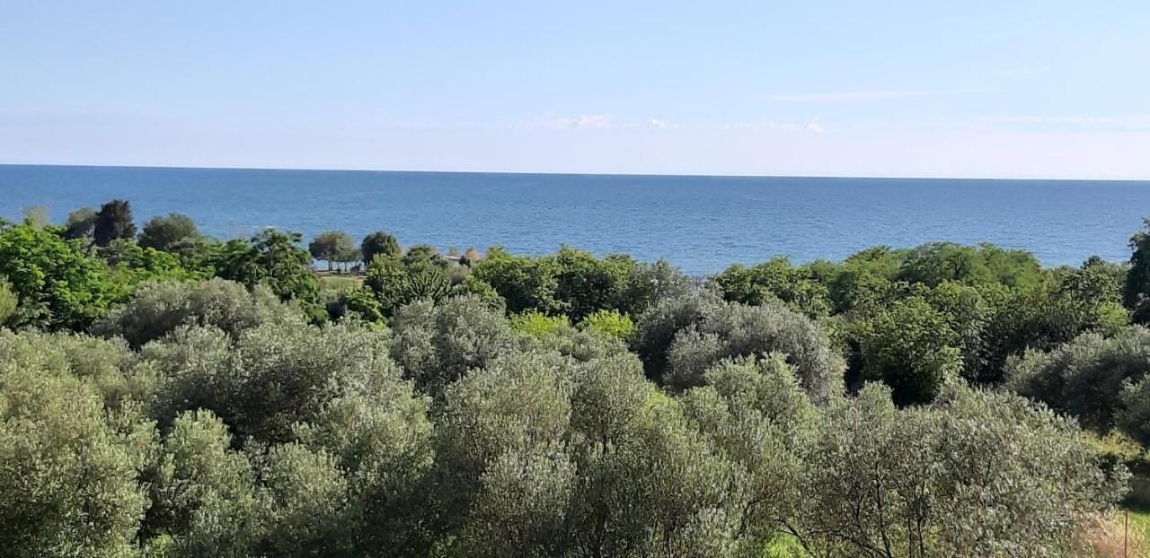 Apartment Istria Zambratija  Zewnętrze zdjęcie